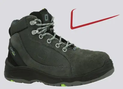 315669_STEP MOON